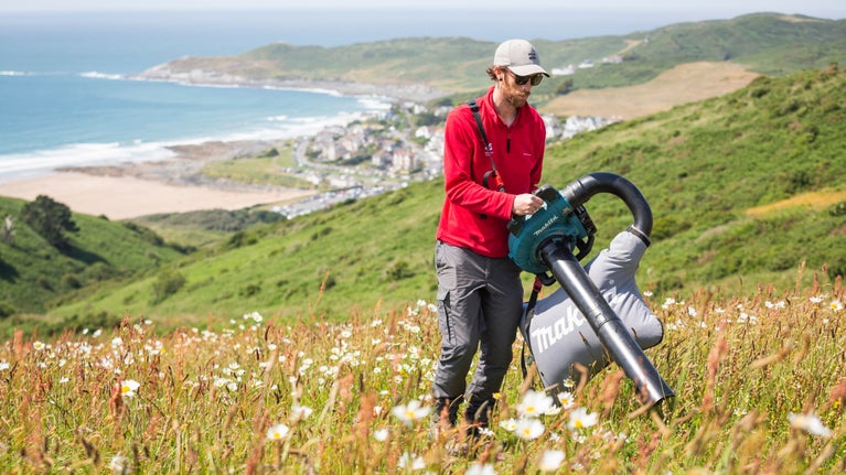 A ranger in the spring sunshine collecting yellow-rattle seeds using a Makita machine